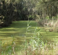 Second Ponds Creek walk - Accommodation Gladstone