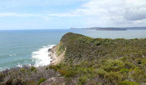 Box Head Track - Accommodation Gladstone 2