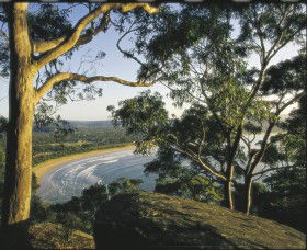 Ocean Beach Umina - Accommodation Gladstone 0