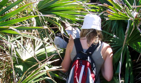 Palm Jungle Loop Track - Accommodation Gladstone 0