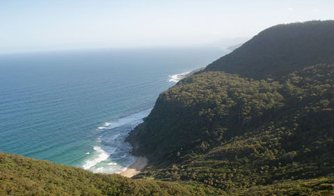 Palm Jungle Loop Track - Accommodation Gladstone 1