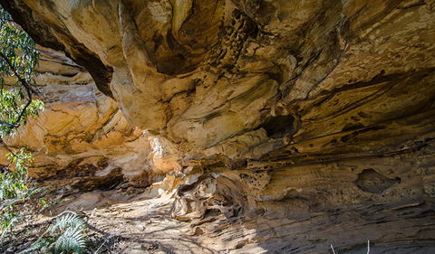 Marramarra National Park - Accommodation Gladstone 0