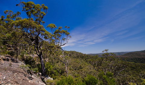 Marramarra National Park - Accommodation Gladstone 1