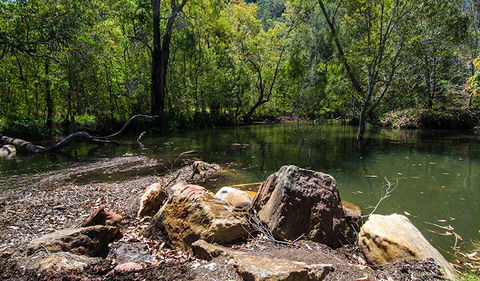 Marramarra National Park - Accommodation Gladstone 3
