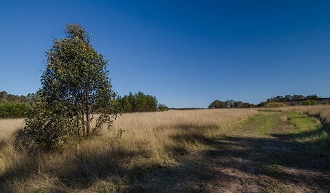 Scheyville Horse Riding Trails - Accommodation Gladstone 0