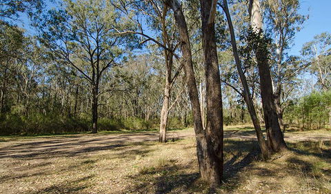 Scheyville Horse Riding Trails - Accommodation Gladstone 1