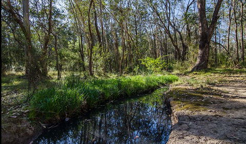 Scheyville Horse Riding Trails - Accommodation Gladstone 2