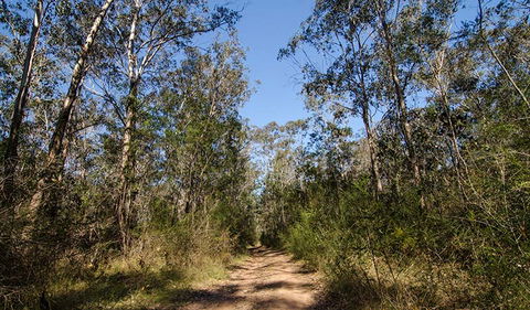 Scheyville Horse Riding Trails - Accommodation Gladstone 3