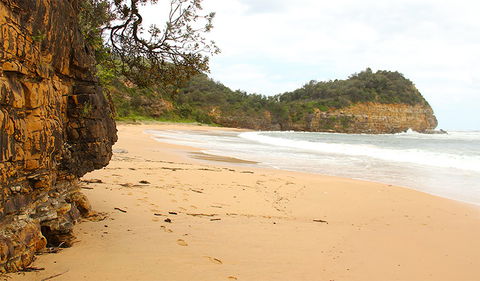 Bouddi Coastal Walk - Accommodation Gladstone 1