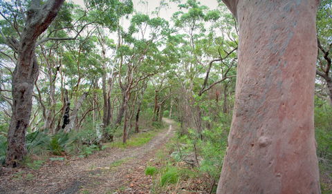 Strom Loop - Accommodation Gladstone 3