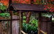 Japanese Gardens And Teahouse Campbelltown - thumb 4