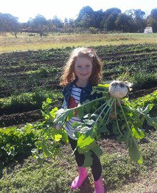 Made In Macarthur Food And Wine Tours - Accommodation Gladstone 2