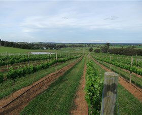 Made In Macarthur Food And Wine Tours - Accommodation Gladstone 1
