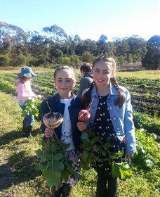 Made In Macarthur Food And Wine Tours - Accommodation Gladstone 5