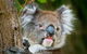 Brisbane Water National Park - thumb 2
