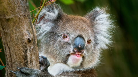 Brisbane Water National Park - Accommodation Gladstone 2