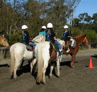 Darkes Forest Riding Ranch - Accommodation Gladstone