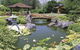 Gosford Regional Gallery And Edogawa Commemorative Garden - thumb 0