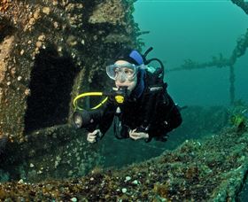 Ex-Hmas Adelaide Dive Site - Accommodation Gladstone 0
