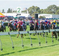 Morphettville Racecourse - Accommodation Gladstone