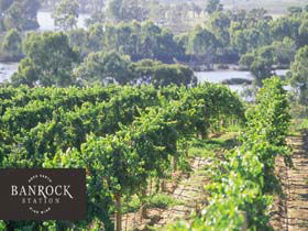 Banrock Station Wine And Wetland Centre - Accommodation Gladstone 0