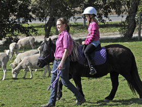 Hahndorf Farm Barn - Accommodation Gladstone 2