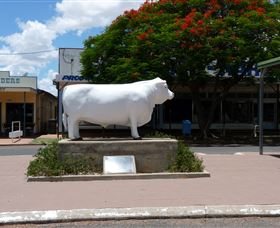 Aramac - The White Bull - Accommodation Gladstone 0