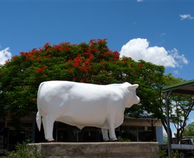 Aramac - The White Bull - Accommodation Gladstone 1