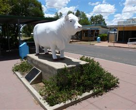 Aramac - The White Bull - Accommodation Gladstone 2