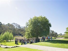 Howard Vineyard - Accommodation Gladstone 1