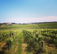 Adelaide Winemakers - Accommodation Gladstone