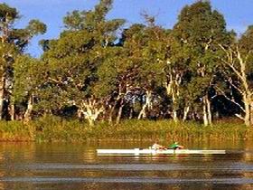 Martin Bend Reserve - Accommodation Gladstone 0