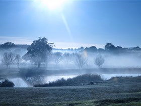 Top Note Vineyard - Accommodation Gladstone 3