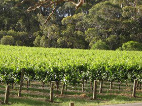 Top Note Vineyard - Accommodation Gladstone 2