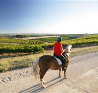 Kidman Trail - Accommodation Gladstone