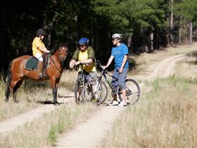 Kidman Trail - Accommodation Gladstone 1