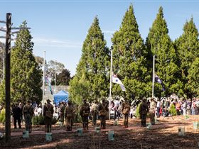 Macclesfield ANZAC Memorial Gardens - Accommodation Gladstone 1
