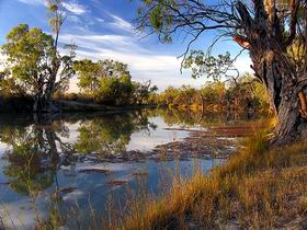 Murray River National Park - Accommodation Gladstone 0