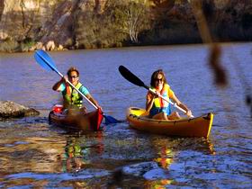 Murray River National Park - Accommodation Gladstone 1