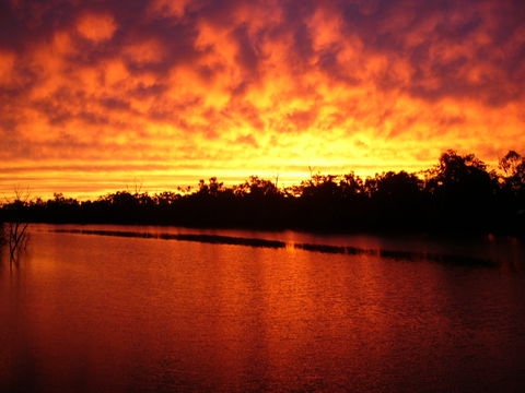 Warrego River Walk - Accommodation Gladstone 0