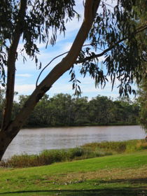 Warrego River Walk - Accommodation Gladstone 2