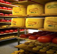 Alexandrina Cheese Company - Accommodation Gladstone