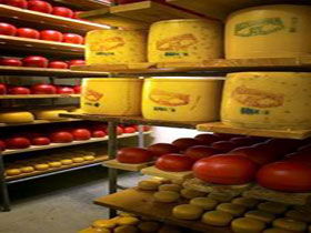 Alexandrina Cheese Company - Accommodation Gladstone 0