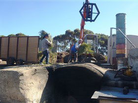 Emu Ridge Eucalyptus - Accommodation Gladstone 1
