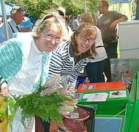 Victor Harbor Farmers Market - Accommodation Gladstone
