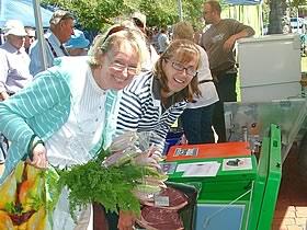 Victor Harbor Farmers Market - Accommodation Gladstone 0