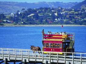 Granite Island Recreation Park - Accommodation Gladstone 0