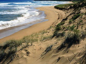 Waitpinga SA Accommodation Gladstone
