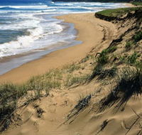 Newland Head Conservation Park - Accommodation Gladstone