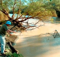 Charleville - Ward River Fishing Spot - Accommodation Gladstone